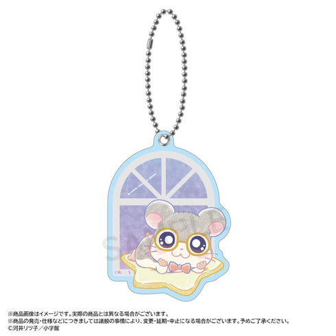 『とっとこハム太郎』~Twinkle Dreams~スライドミラー H.めがねくん